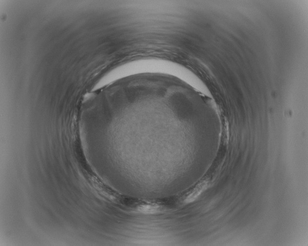 X0000083640364200702261056