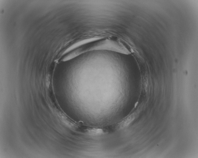 X0000083640374200702261056