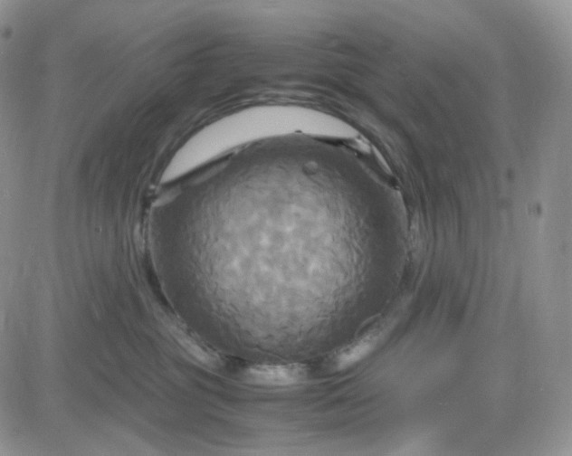 X0000083640381200702261057