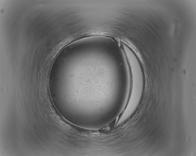 X0000083640385200702261056