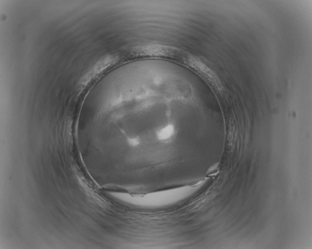X0000083640394200702261056