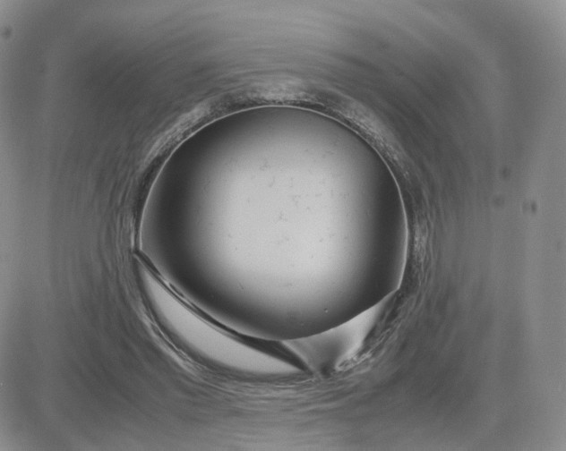 X0000083640397200702261056