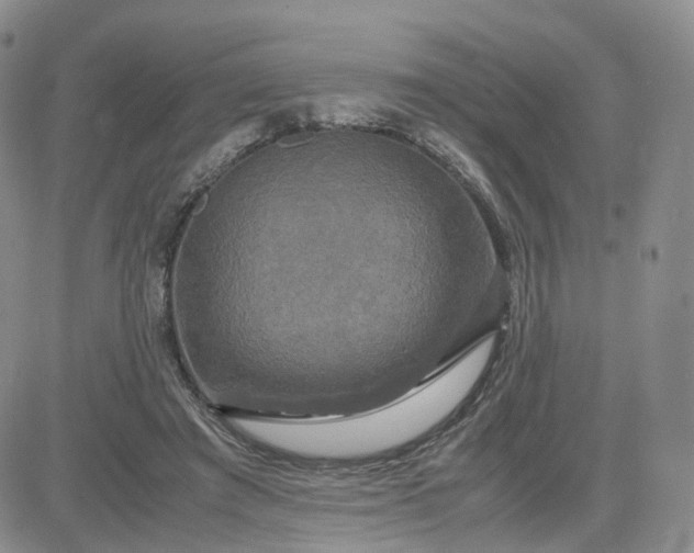 X0000083640401200702261056