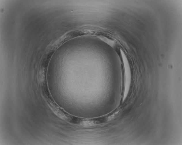 X0000083640413200702261055