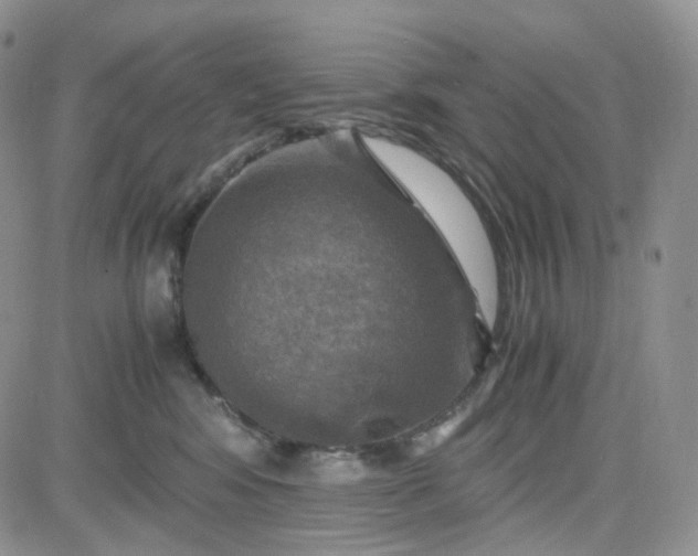 X0000083640424200702261055