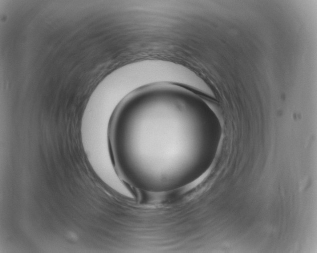 X0000083640432200702261055