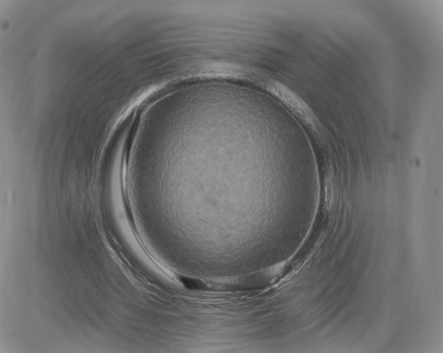 X0000083640436200702261054