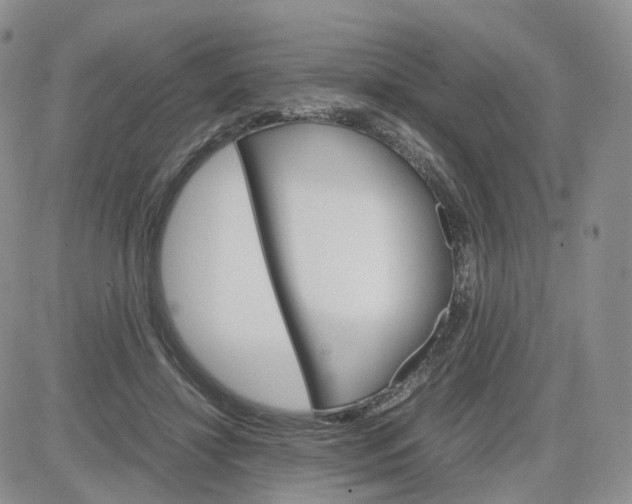 X0000083640452200702261055