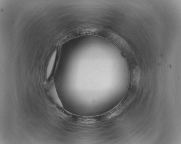 X0000083640463200702261055