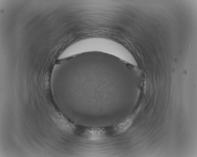 X0000083640466200702261055