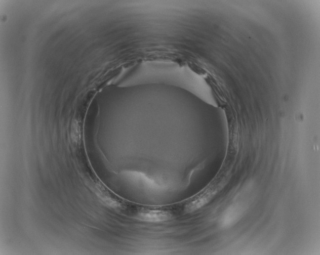 X0000083640467200702261055