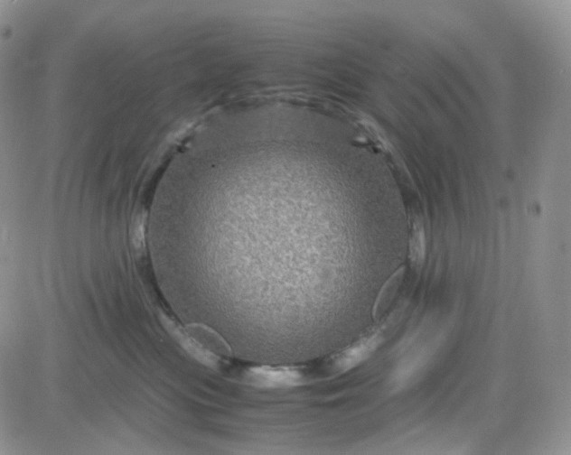 X0000083640477200702261055