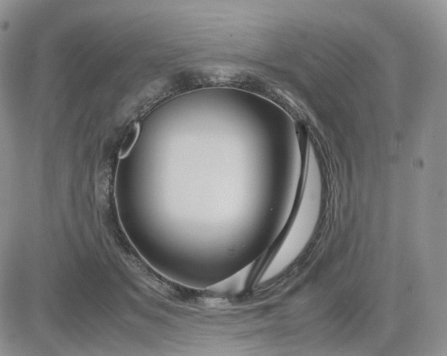 X0000083640509200702261054