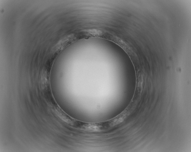 X0000083640518200702261054