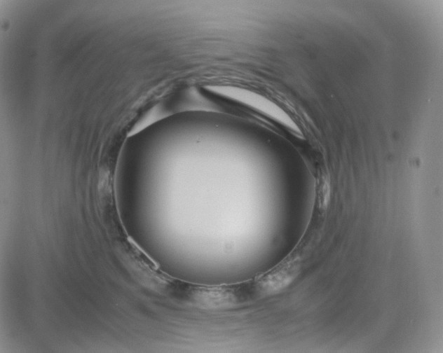 X0000083640521200702261053
