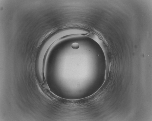 X0000083640538200702261053