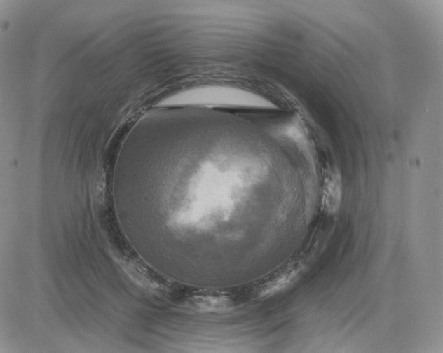 X0000083640552200702261053