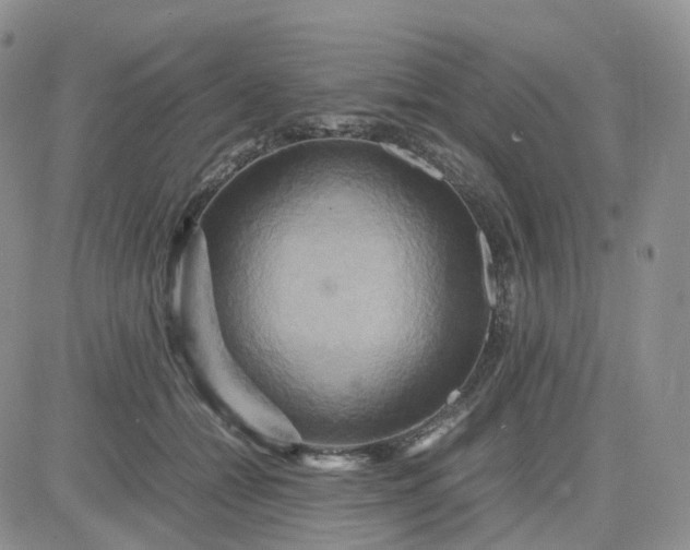 X0000083640558200702261053