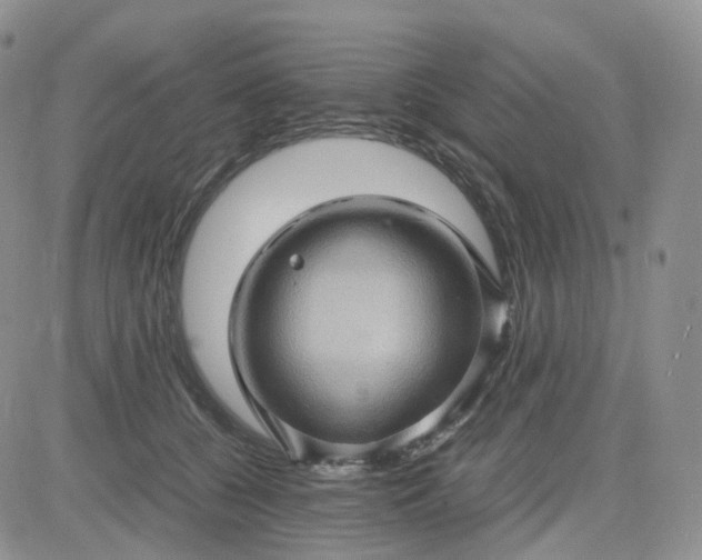 X0000083640560200702261053