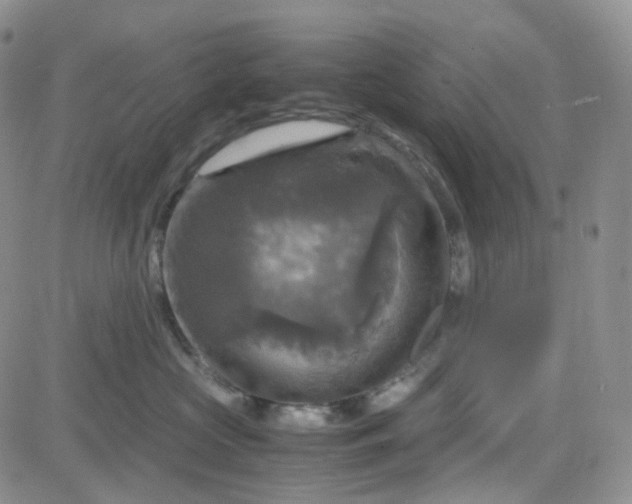 X0000083640573200702261053