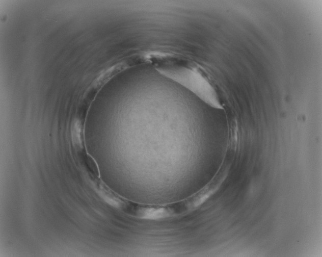 X0000083640575200702261053