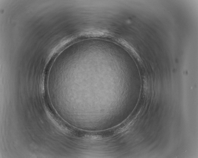X0000083640582200702261052