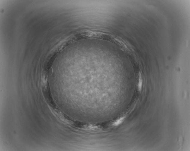 X0000083640607200702261052