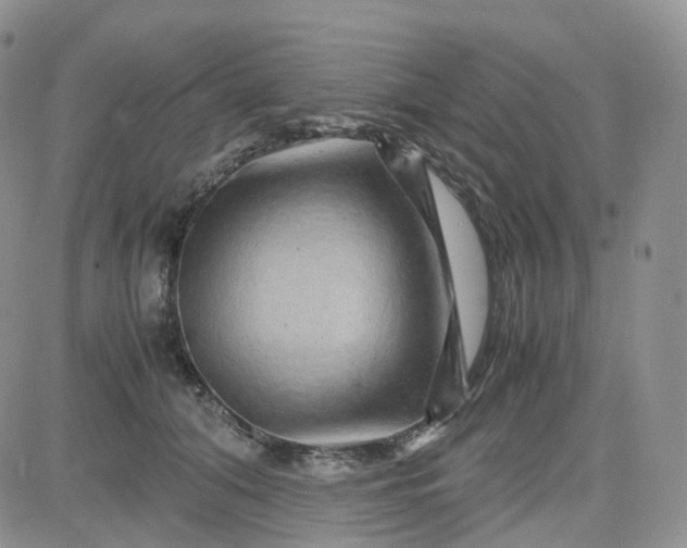 X0000083640608200702261052