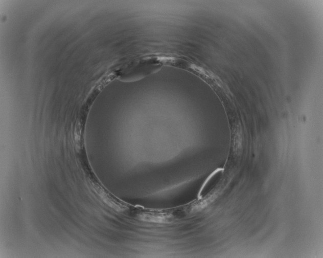 X0000083640661200702261052