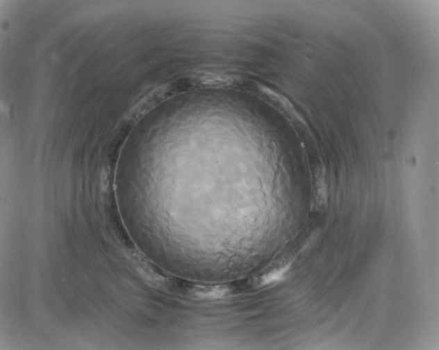 X0000083640667200702261052