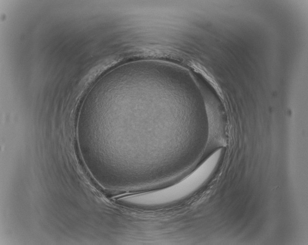 X0000083640673200702261051