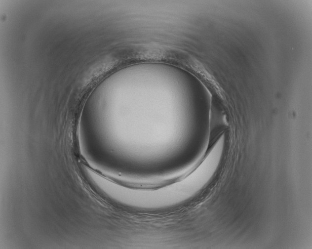 X0000083640681200702261051