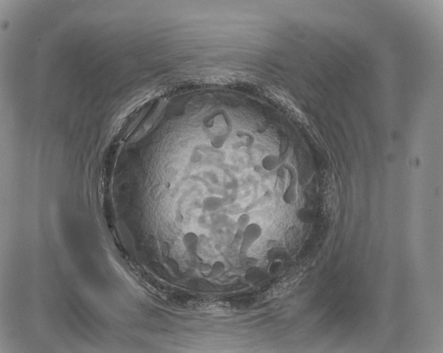X0000083640683200702261051