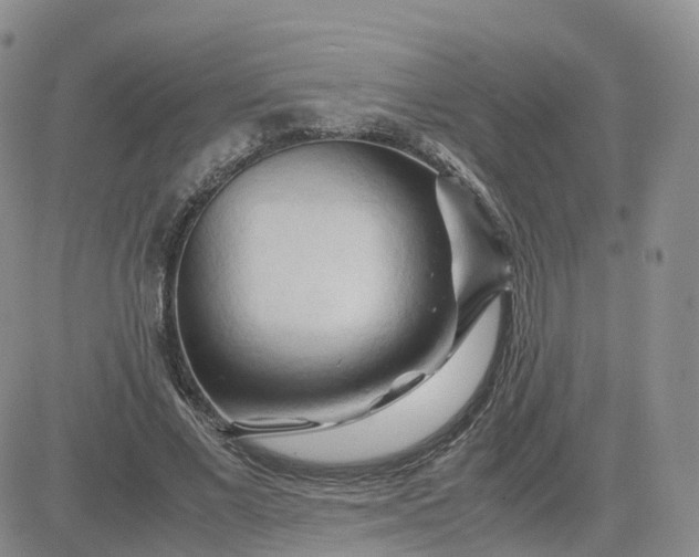 X0000083640685200702261051