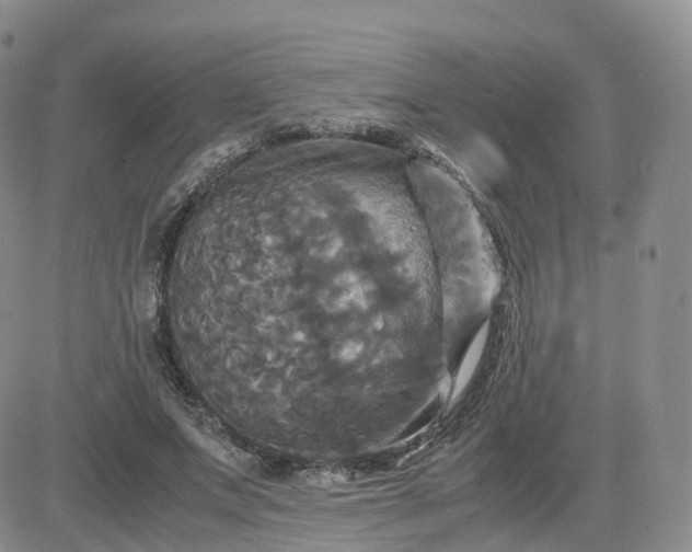 X0000083640687200702261051