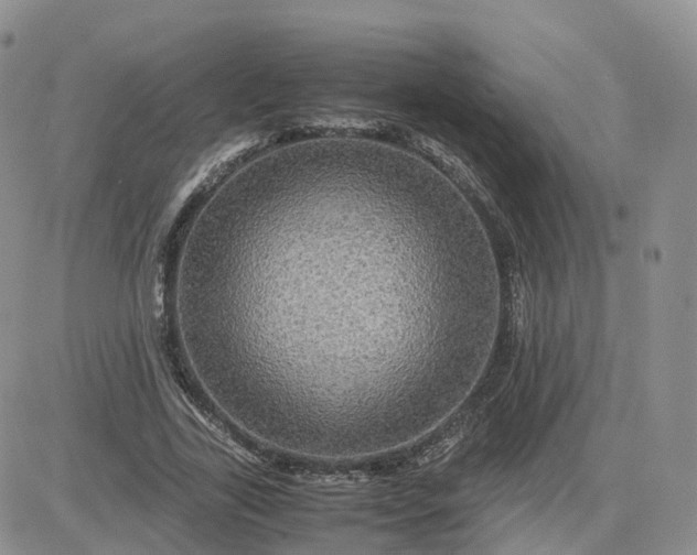 X0000083640731200702261050