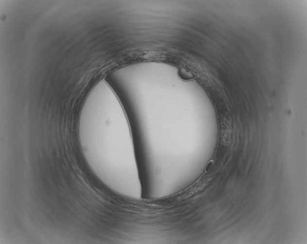 X0000083640748200702261050