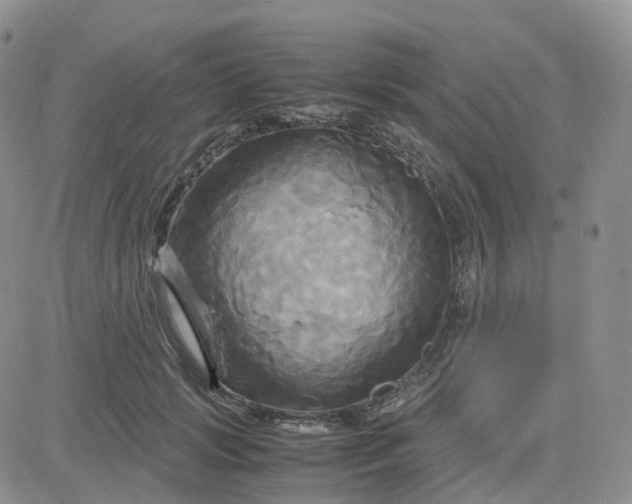 X0000083640749200702261050