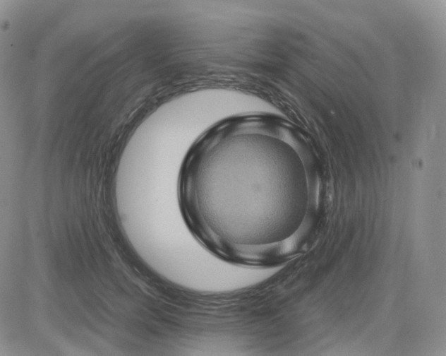 X0000083640750200702261050