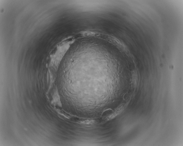 X0000083640761200702261050