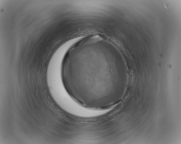X0000083640762200702261050