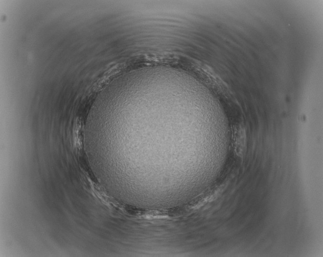 X0000083640770200702261049