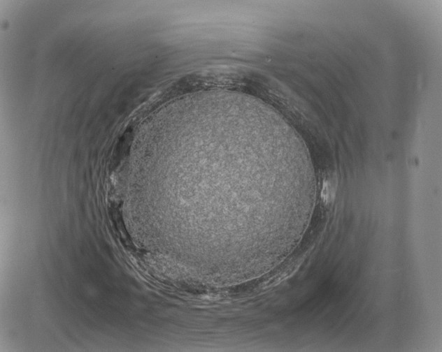 X0000083640771200702261049