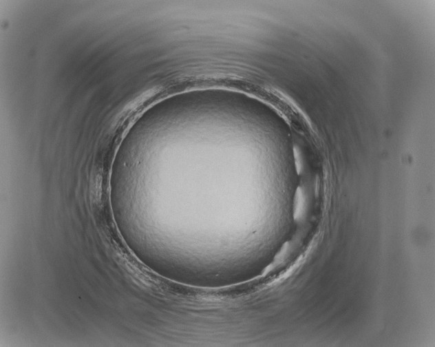 X0000083640777200702261049