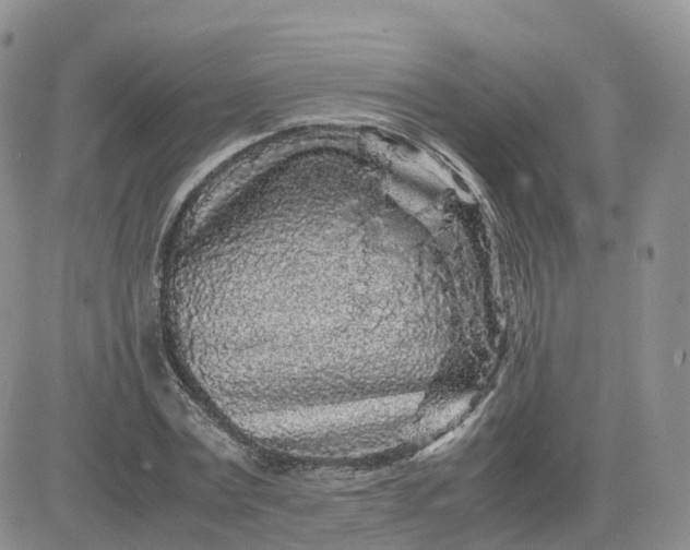 X0000083640779200702261049