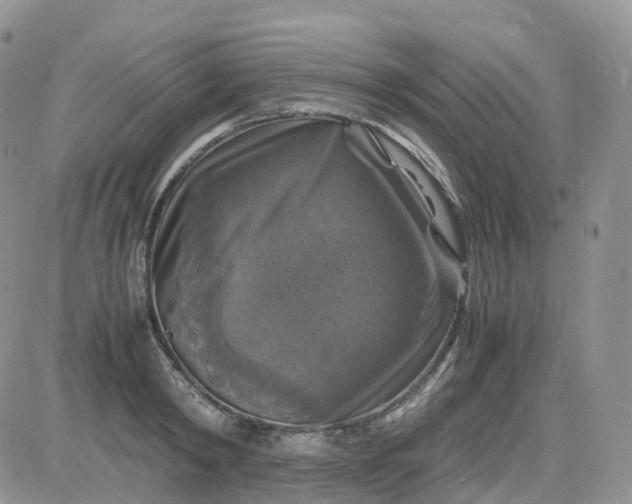 X0000083640798200702261049