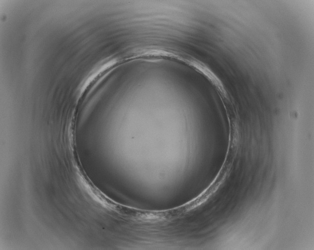 X0000083640806200702261049