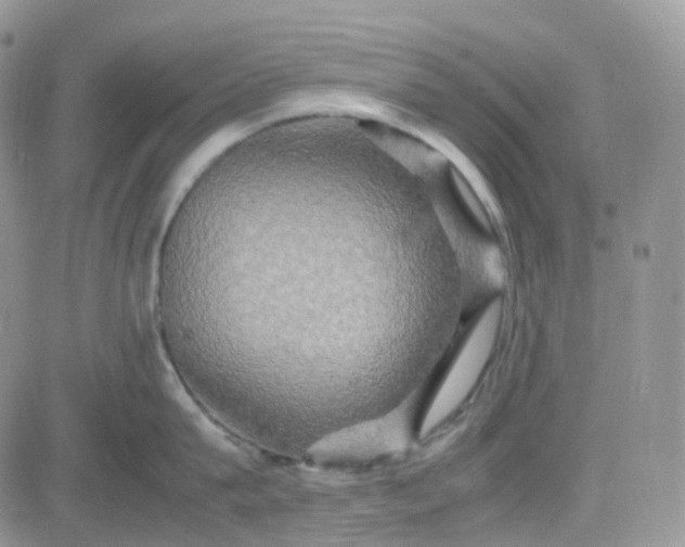 X0000083640815200702261049