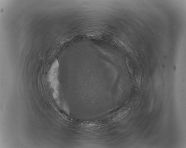 X0000083640817200702261048