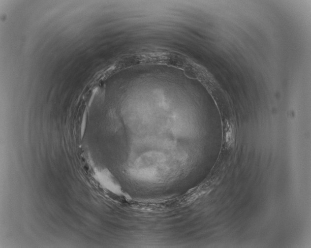 X0000083640819200702261048